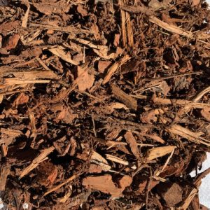Pine Bark